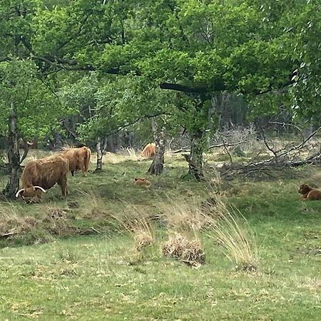 Veldzicht Brunsting Villa Beilen Kültér fotó