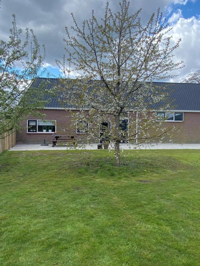 Veldzicht Brunsting Villa Beilen Kültér fotó